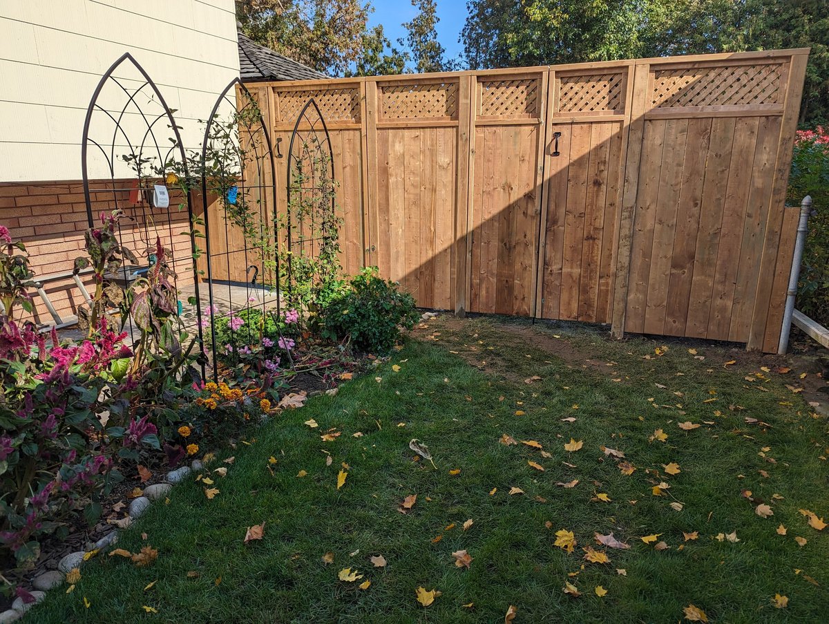 Backyard garden with wooden fence, decorative arbor, flowering plants, and autumn leaves on grass